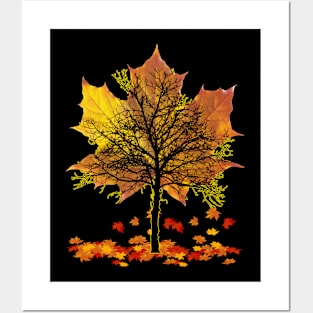 Maple Tree Falling Leaves Autumn Season Posters and Art